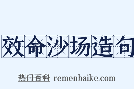 效命沙场造句是什么意思的图片